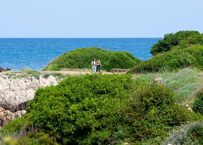 Appartement Modern In The Heart Of Cap D'antibes